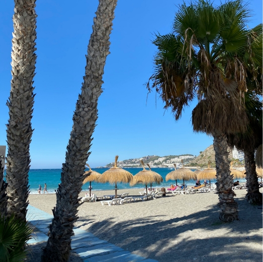 vista-desde-la-somba-observando-el-mar-con-las-sombrillas-y-la-gente-tomando-el-sol